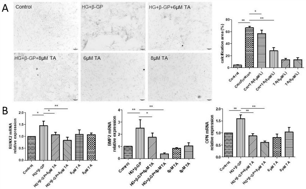 Application of Thonningianin A in preparation of medicine serving as L-type calcium ion channel activator