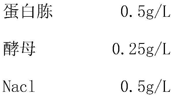 Method for rapidly detecting bacteriophage in escherichia coli fermentation seed solution