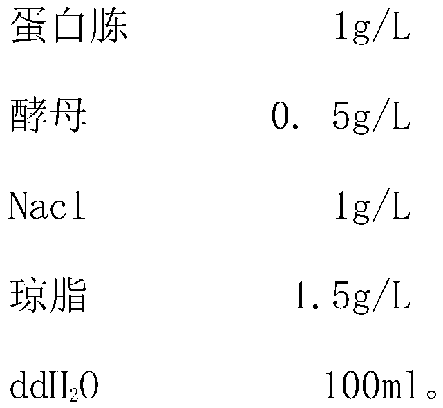 Method for rapidly detecting bacteriophage in escherichia coli fermentation seed solution