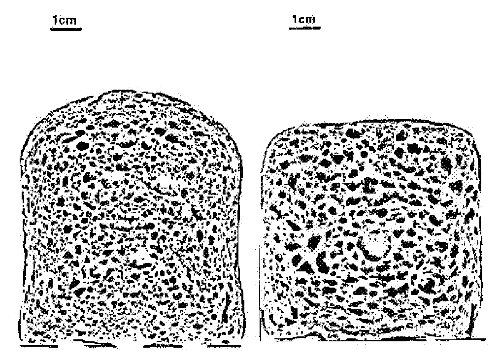Foamed, dough-based food and apparatus and method for production thereof and use of the apparatus