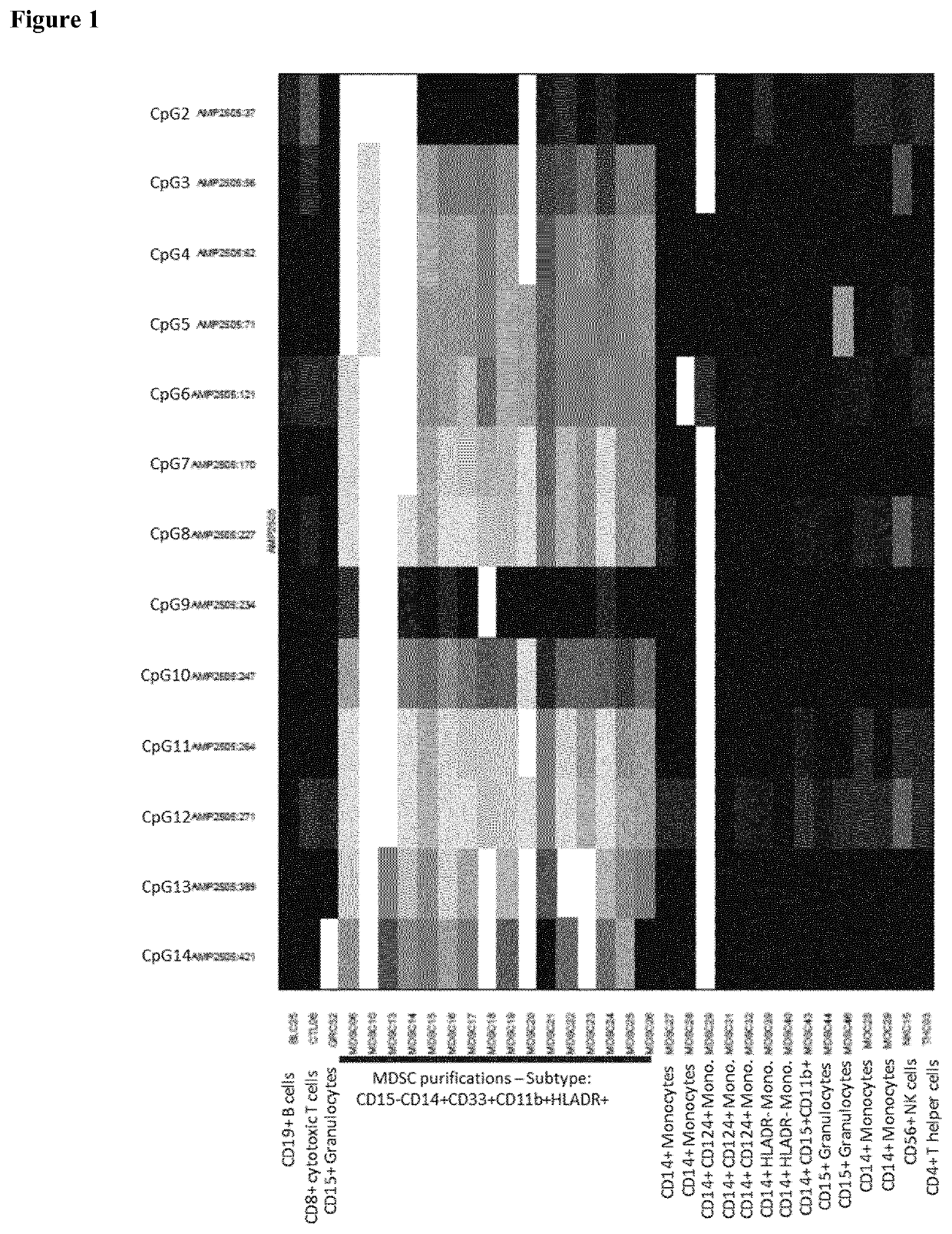 ERGIC1 AS EPIGENETIC MARKER FOR THE IDENTIFICATION OF IMMUNE CELLS, IN PARTICULAR MONOCYTIC MYELOID-DERIVED SUPPRESSOR CELLS (mMDSCs)