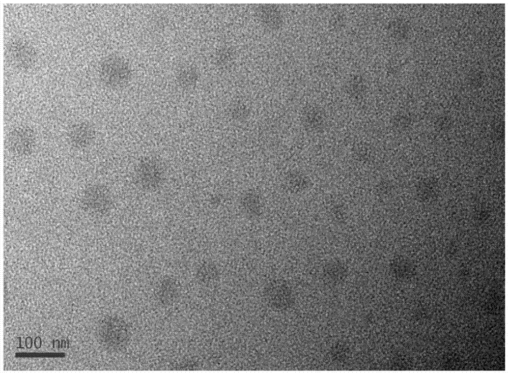 Polymer nanocomposite film and preparation method thereof