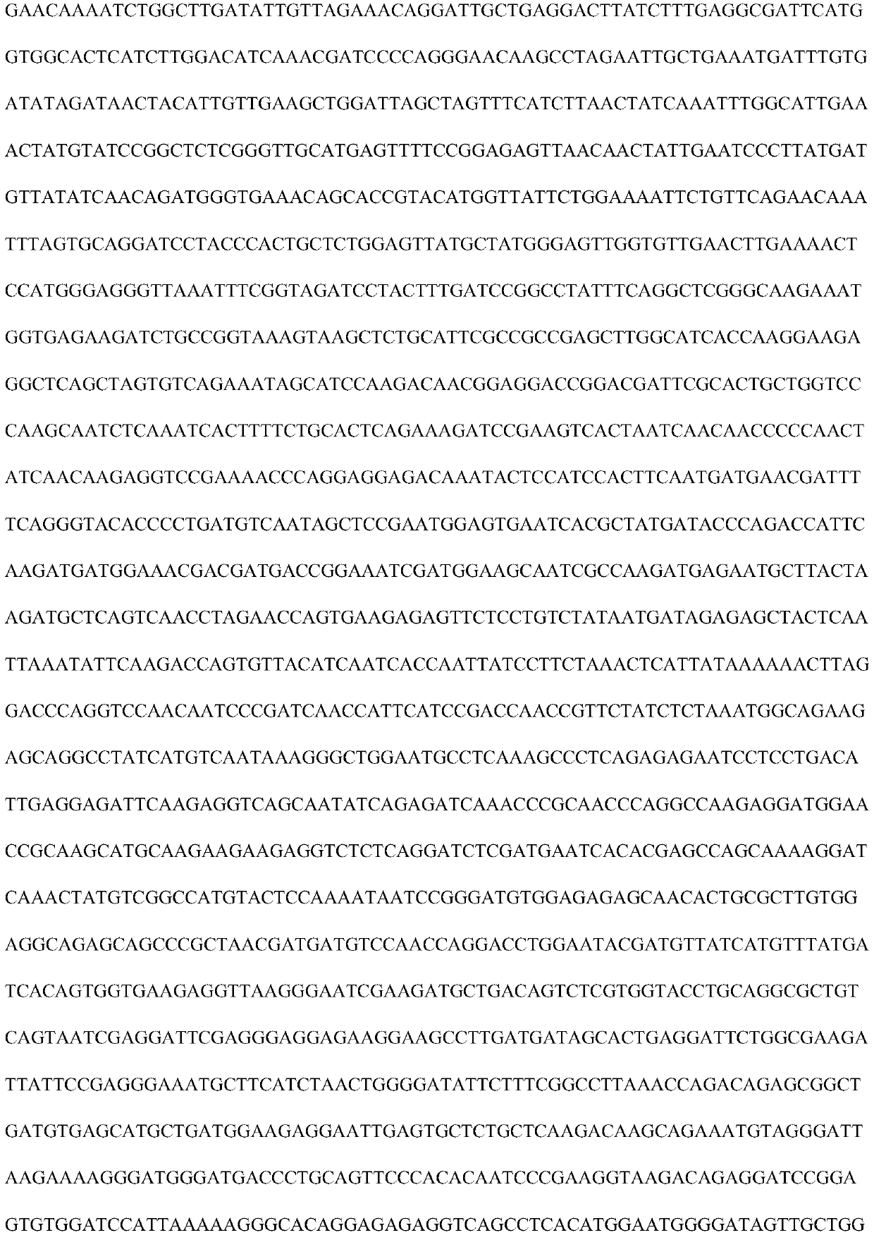 Canine distemper virus replication defect strain and establishing method thereof