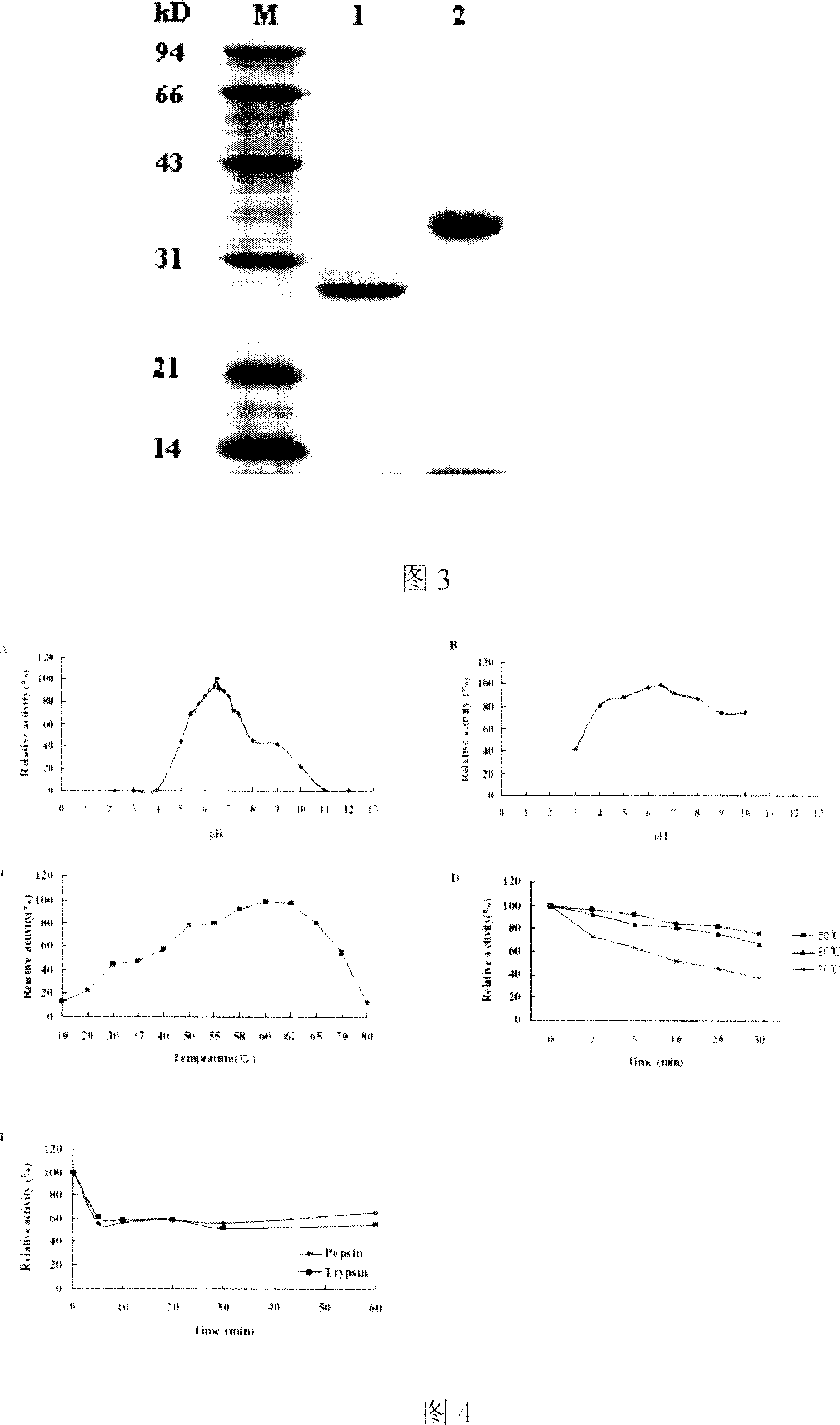 Beta-glucanase, encoding gene thereof, recombinant plasmid and bacterial strain and uses thereof