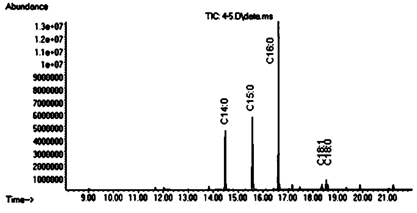 Method for optimizing synthetic route of fatty acid in escherichia coli