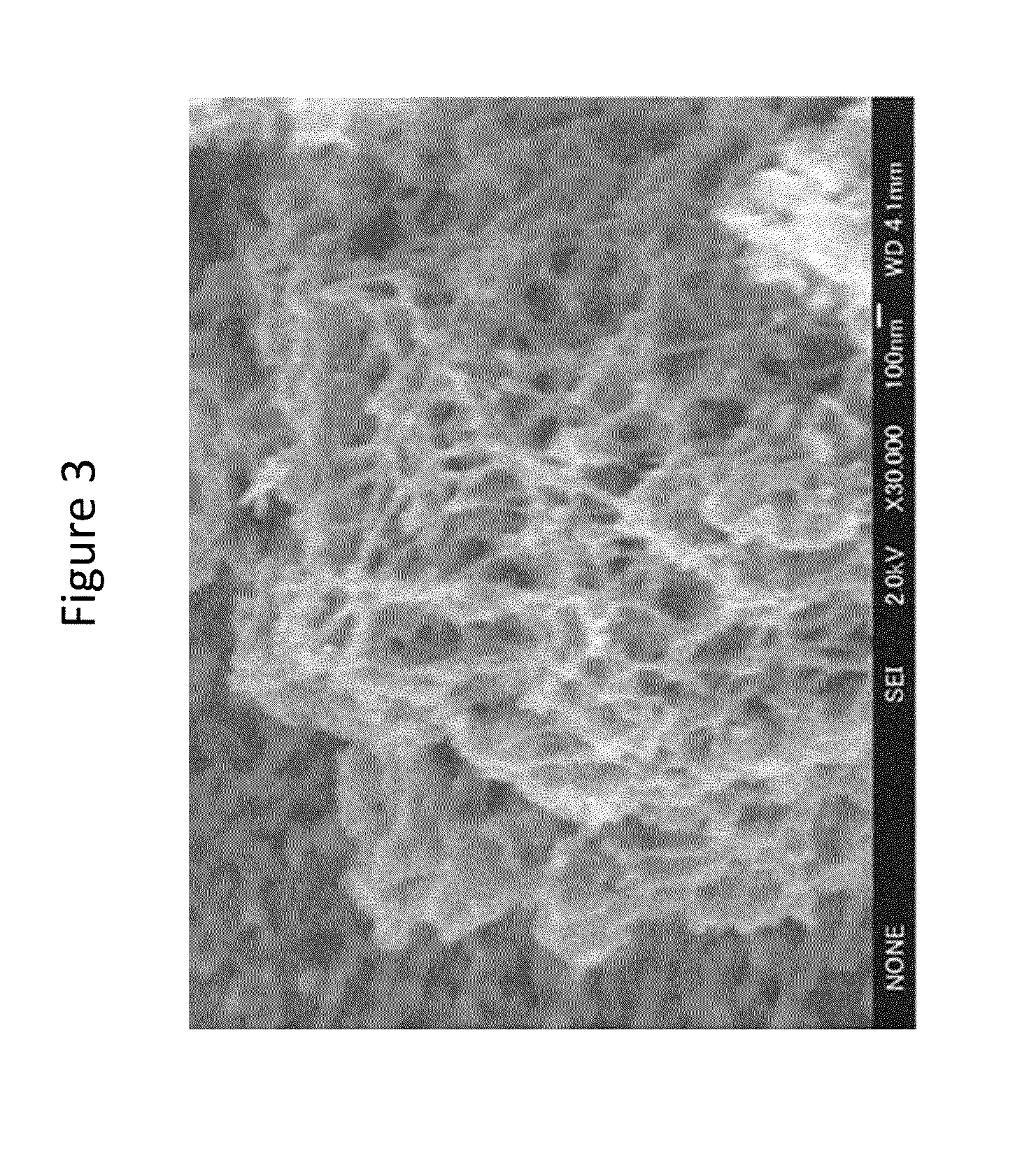 Porous carbon and method of manufacturing same