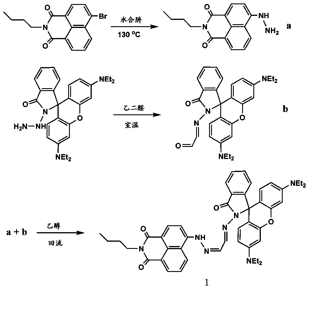 Naphthalimide modified rhodamine B derivative as well as preparation method and application thereof