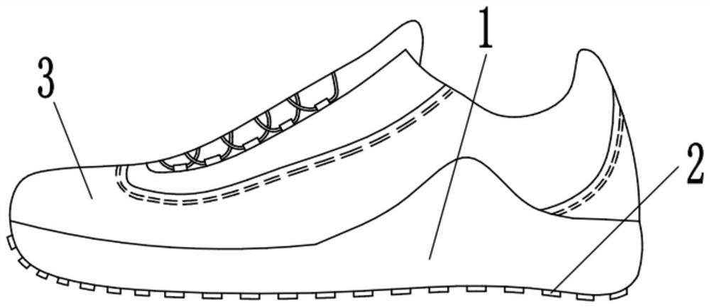 Multifunctional healthy shoe capable of preventing flatfoot ectropion