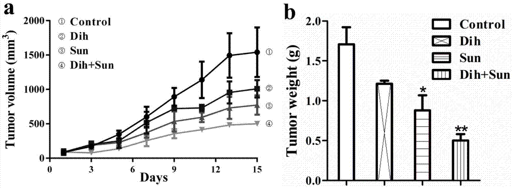 Medicinal composition with synergic anti-tumor effect and application thereof