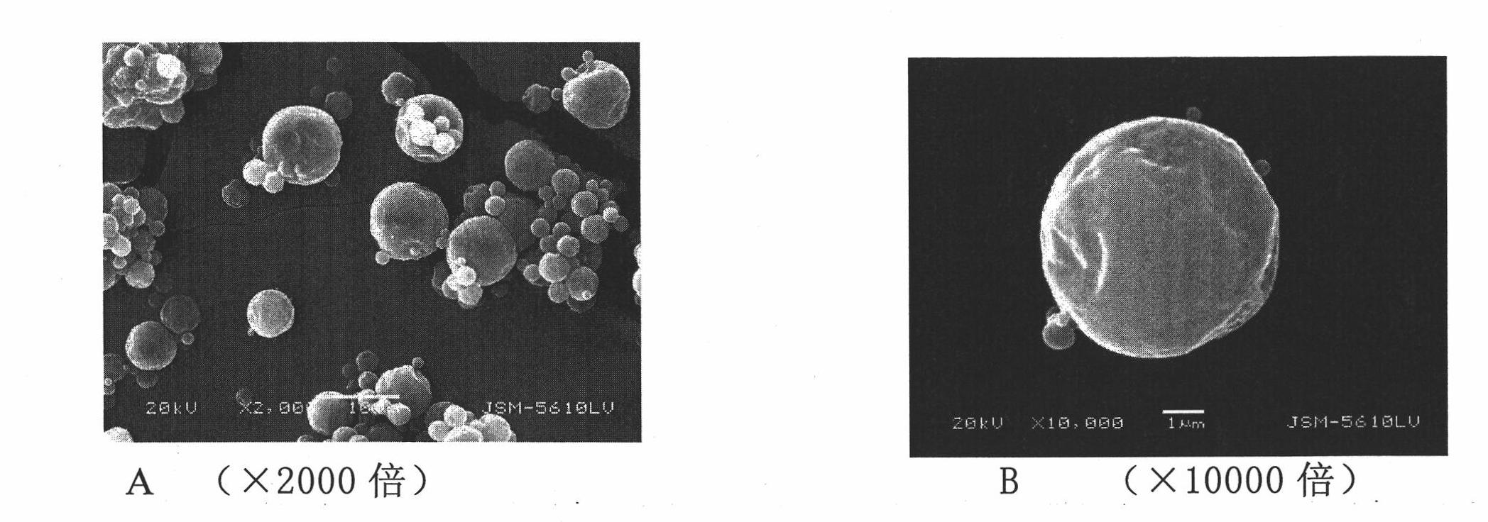 New type slightly soluble oral medicine self-emulsification preparation and preparation method thereof