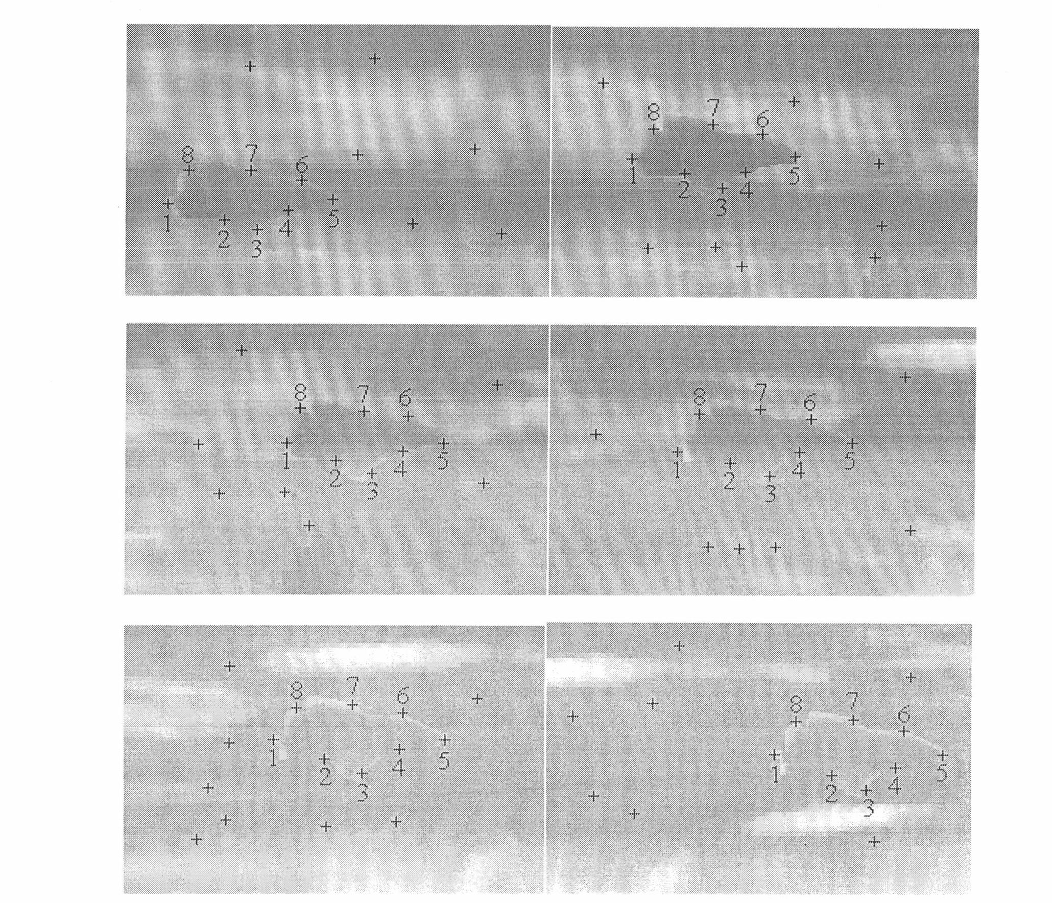 Optimized calculation-based characteristic point matching method