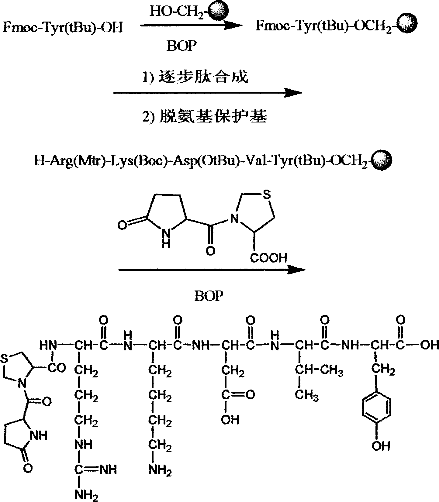 Heptapeptide prepared from thymopentin and pidotimod, and synthetic method