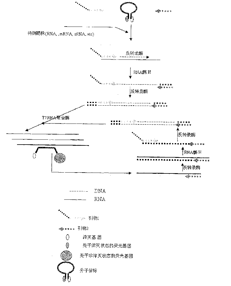 Constant temperature synchronous amplification detecting process for nucleic acid and use thereof