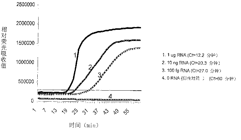 Constant temperature synchronous amplification detecting process for nucleic acid and use thereof