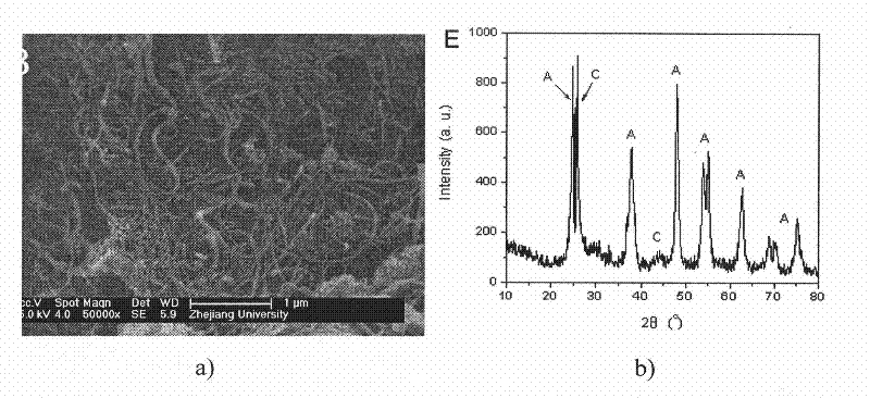 Pt-TiO2/CNTs catalyst and preparation method thereof