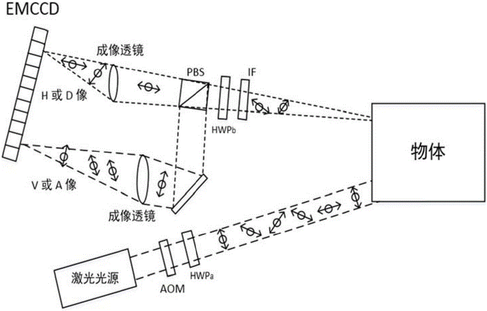 Quantum radar based on quantum correlation and processing method thereof