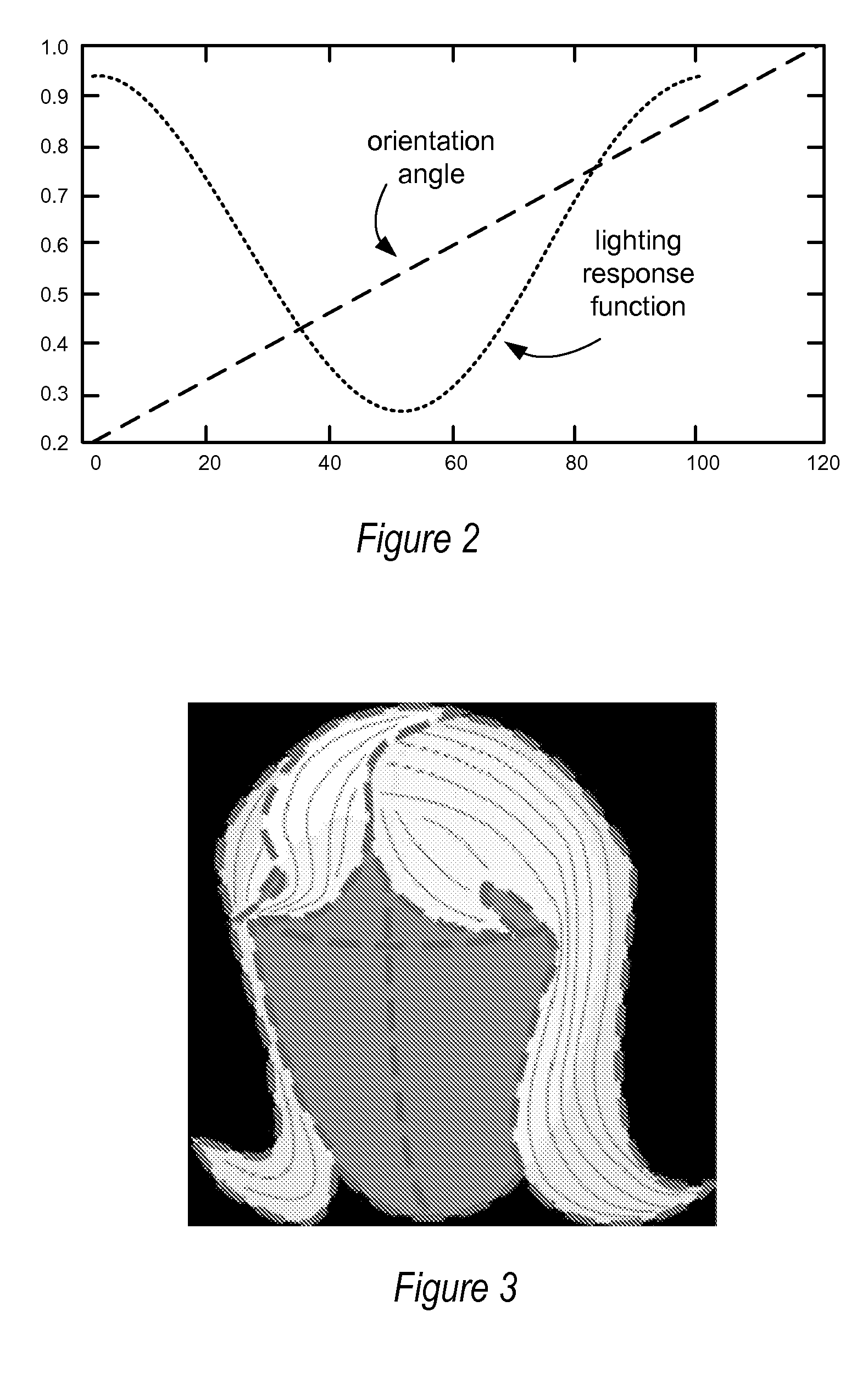 Methods and apparatus for procedural directional texture generation