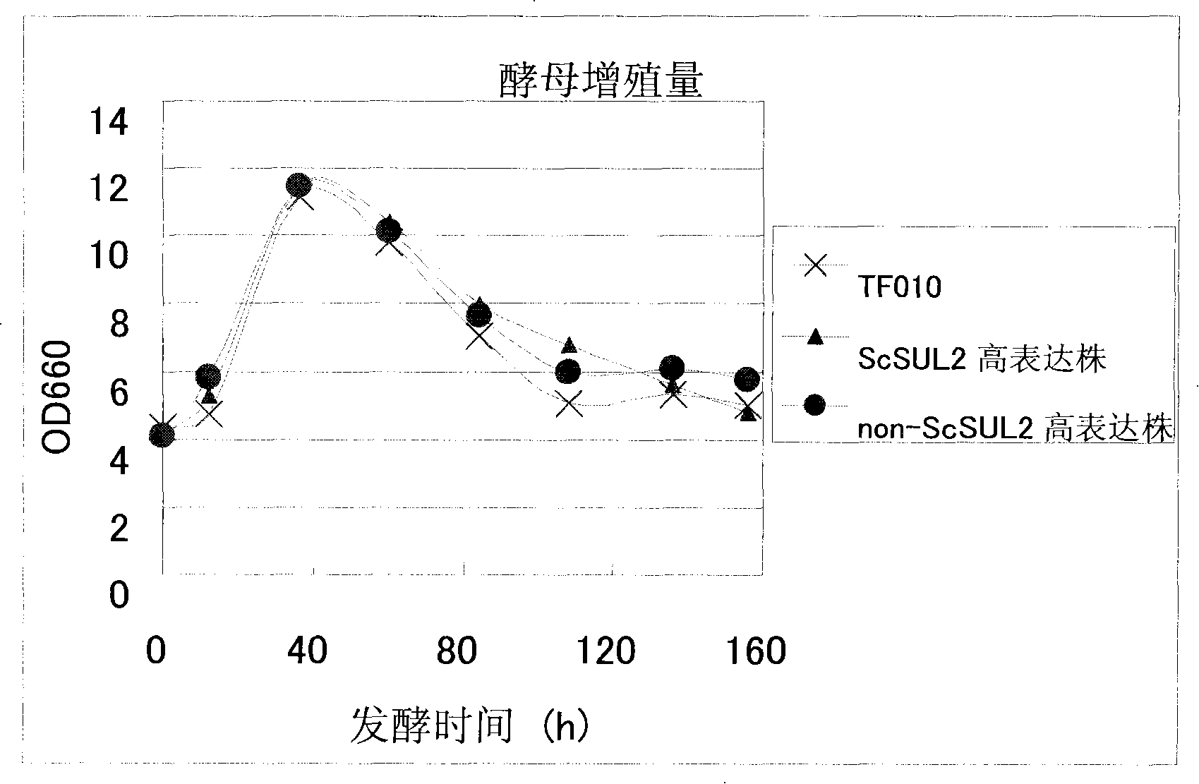 Sulfate ion transporter gene and use thereof