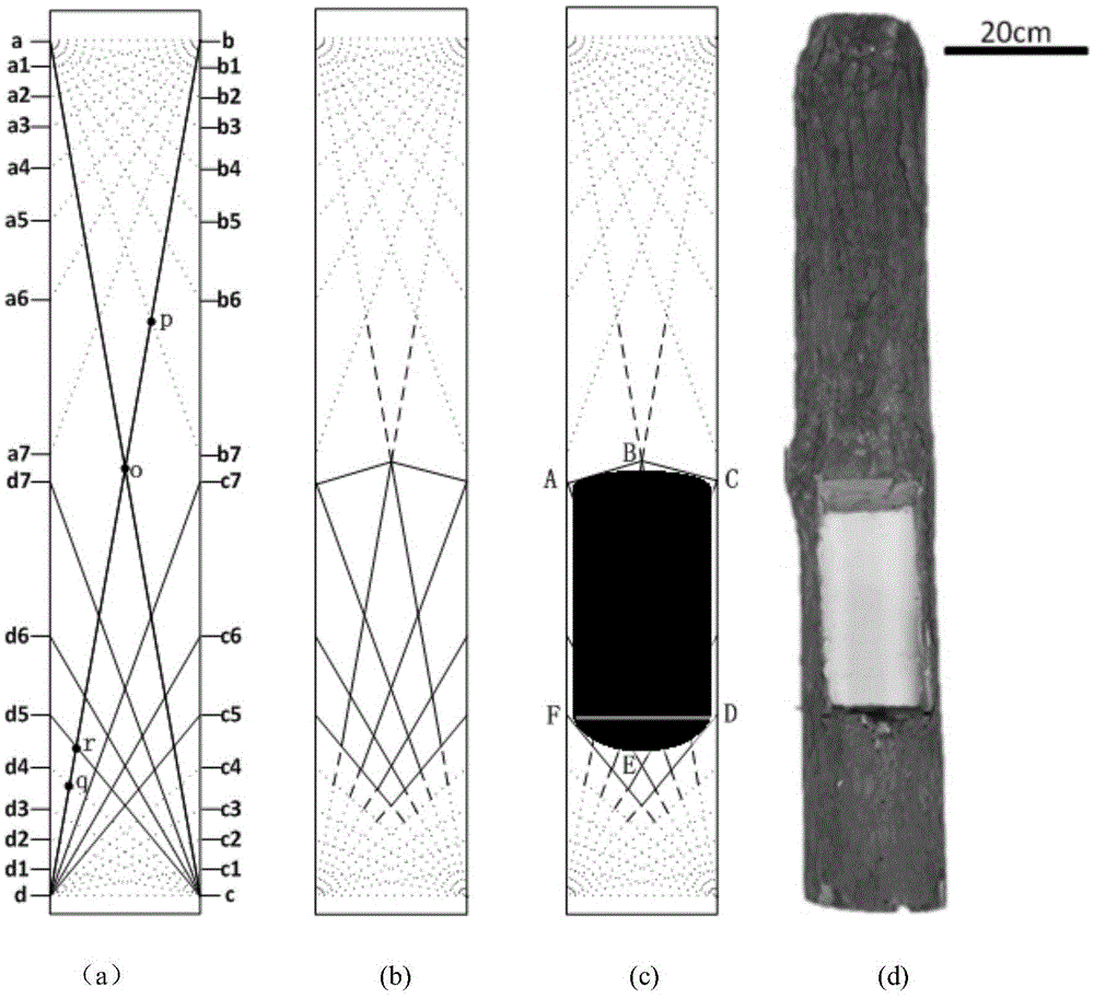 Method for detecting defect positions on radial sections of trees