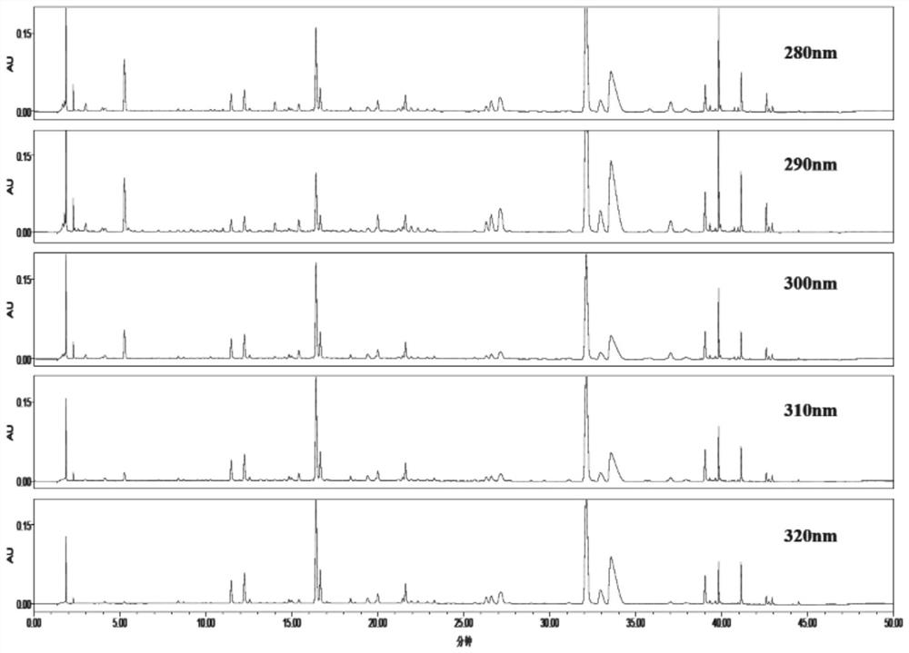Fingerprint construction method and detection method of angelica sinensis six-yellow decoction composition