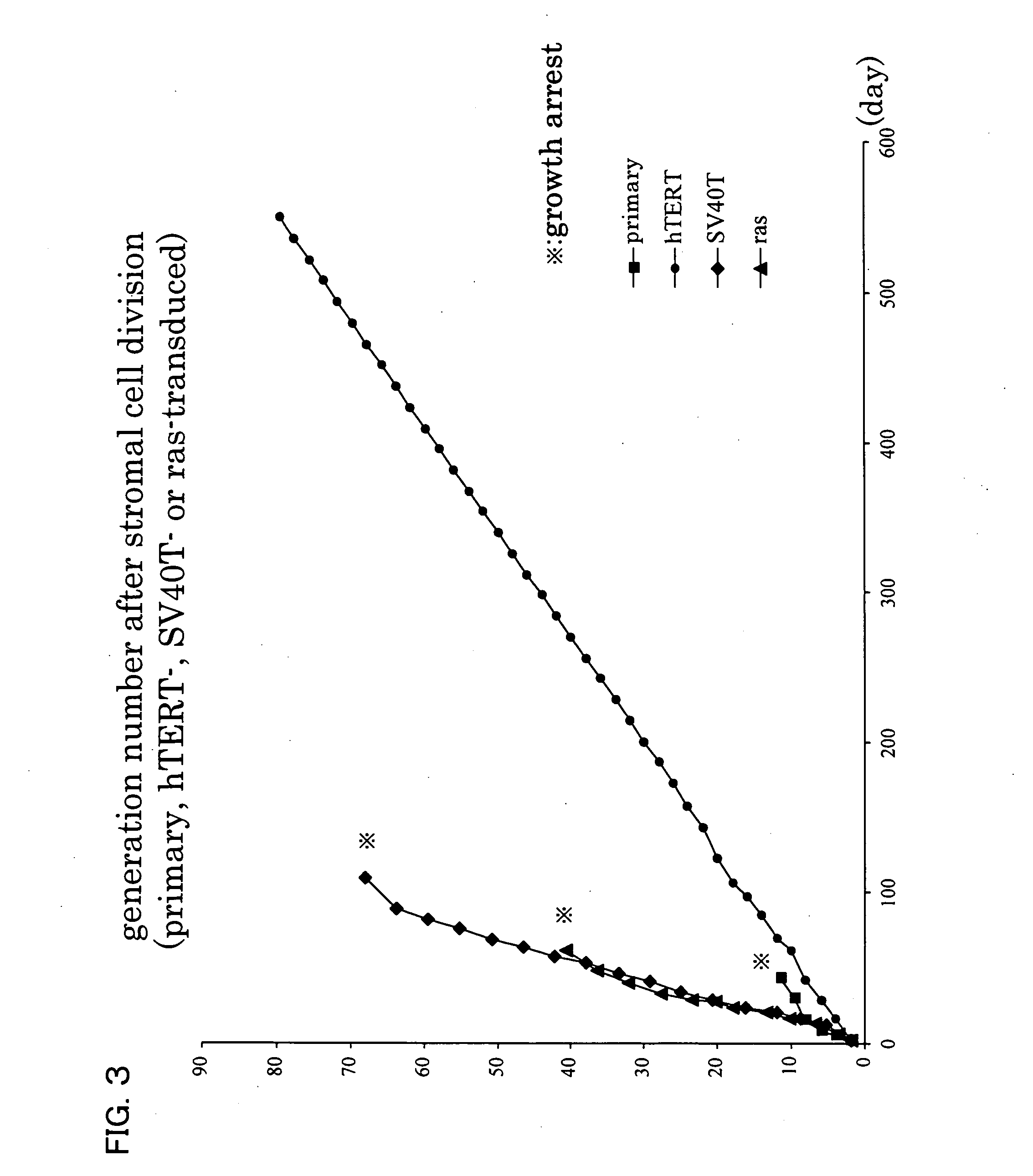 Immortalized mesenchymal cells and utilization thereof