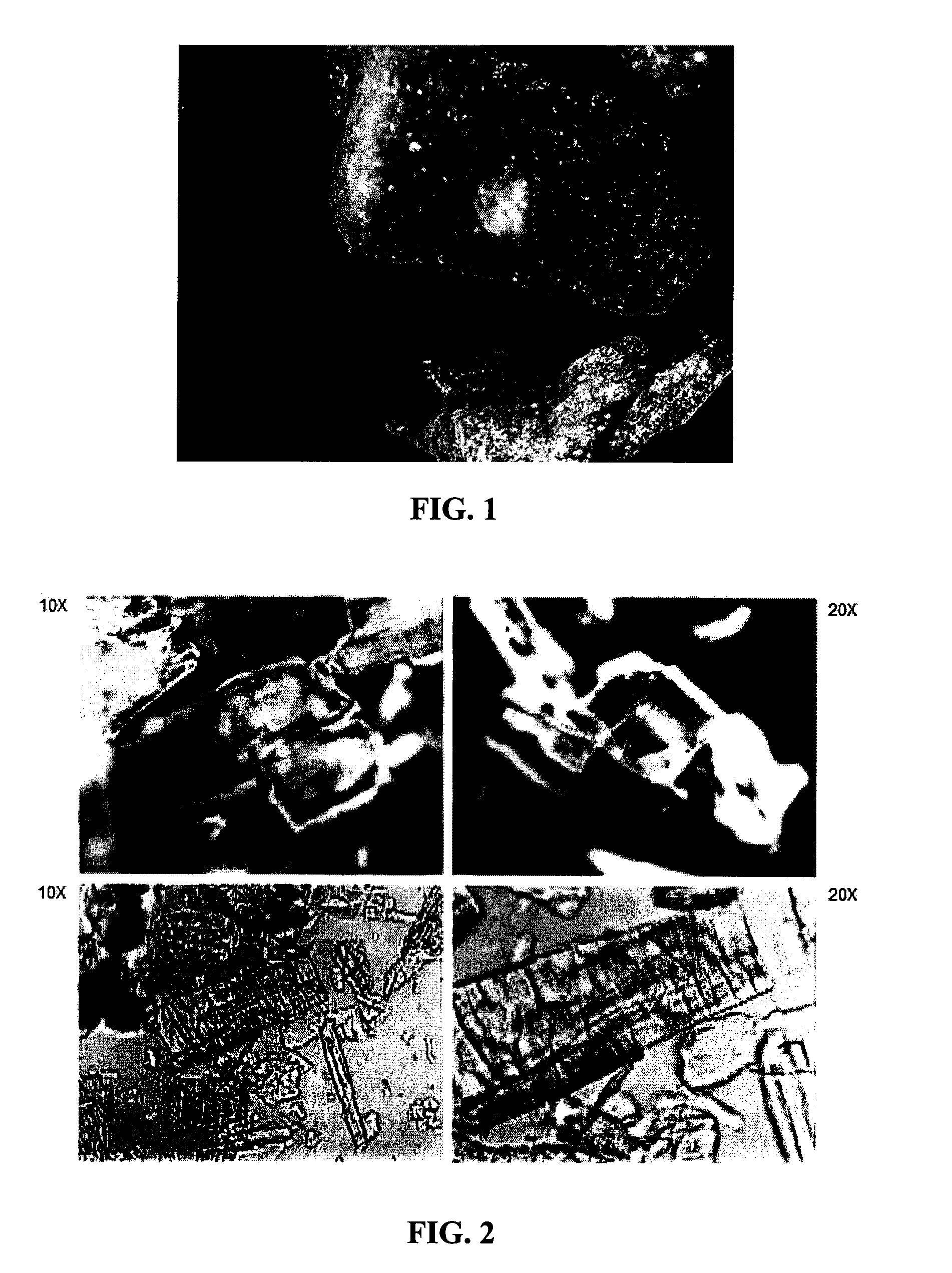 Gasified Food Products and Methods of Preparation Thereof