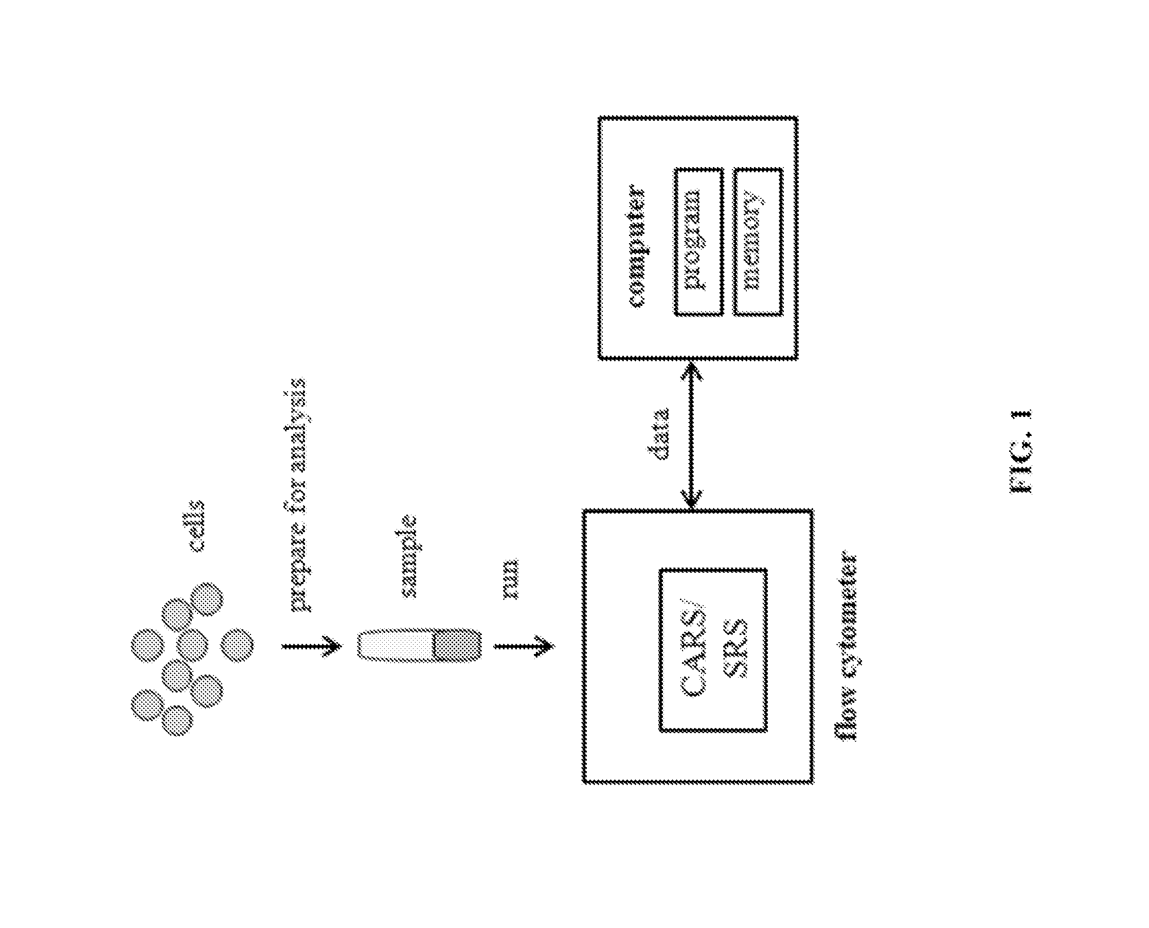 Methods and systems for coherent raman scattering