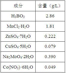 Oil-producing monoraphidium sp. as well as culture and application thereof
