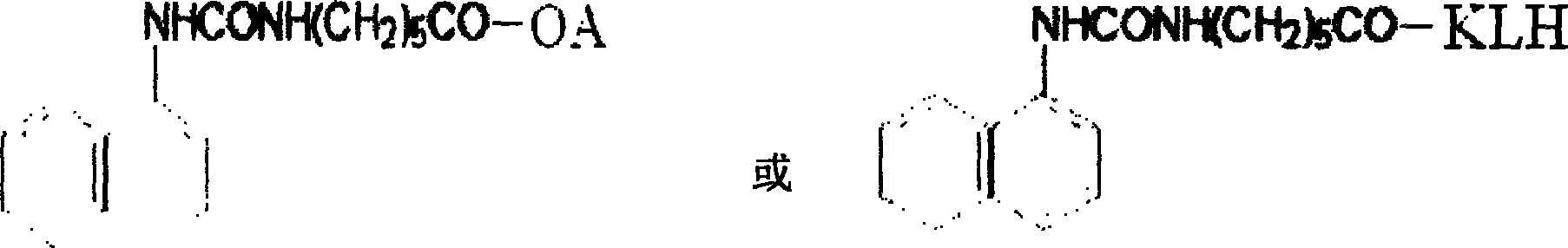 Pesticide sevin artificial antigen and antibody and preparation method and application thereof