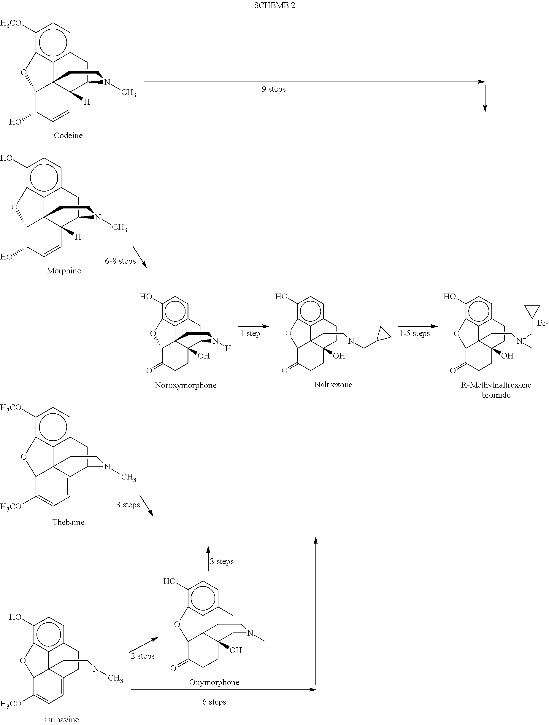 Processes for the Preparation of Morphinane and Morphinone Compounds