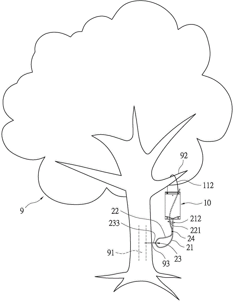 Tree infusion method and tree infusion device