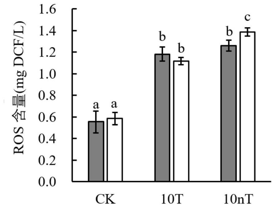 Method for Quantitative Determination of In Vitro/In Vitro Superoxide Radical Content Generated by Environmental Stress