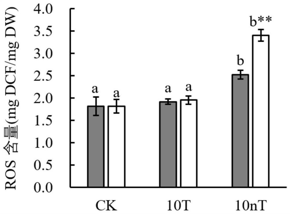 Method for Quantitative Determination of In Vitro/In Vitro Superoxide Radical Content Generated by Environmental Stress