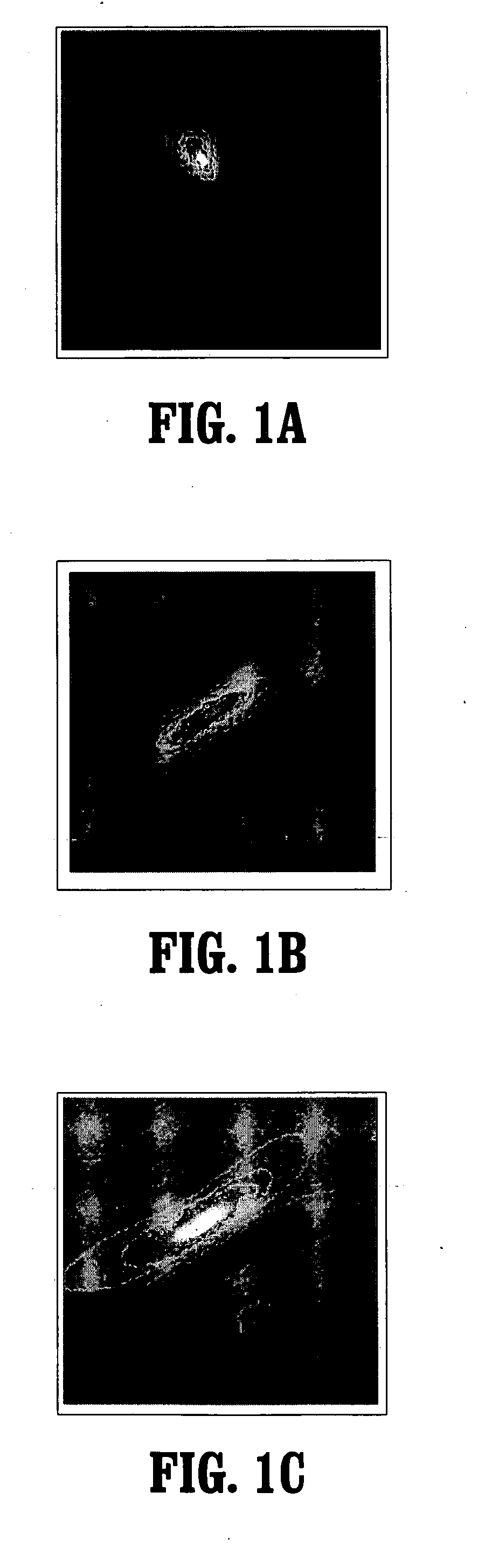 System and Method For Feature Detection In Image Sequences
