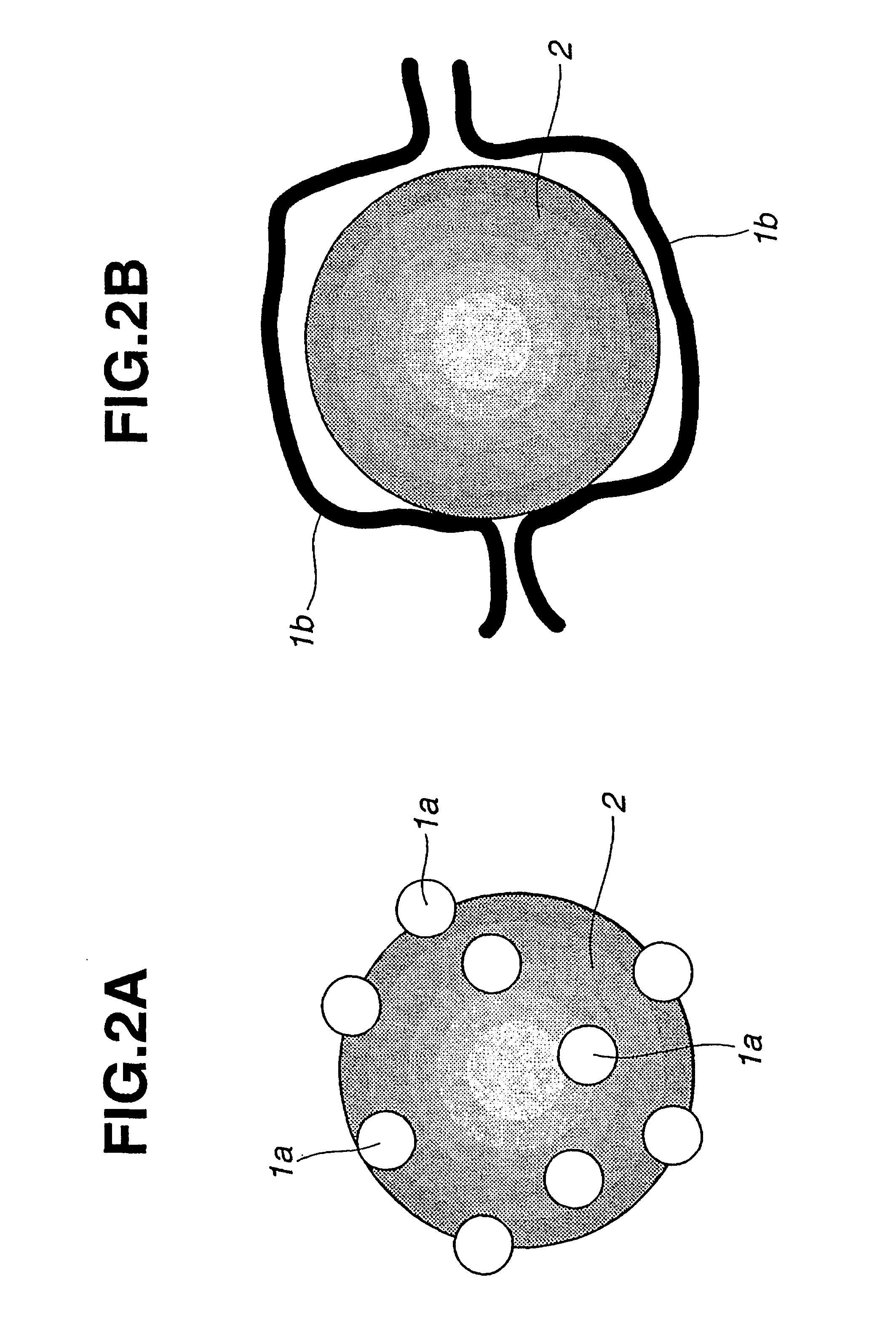 Exhaust gas purifying catalyst and method of producing same