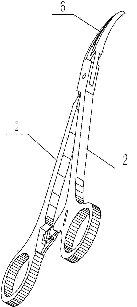 Curved haemostatic forceps