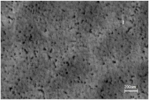 A porous hydroxyapatite/titanium nitride bioactive coating capable of shielding release of harmful ions and its application