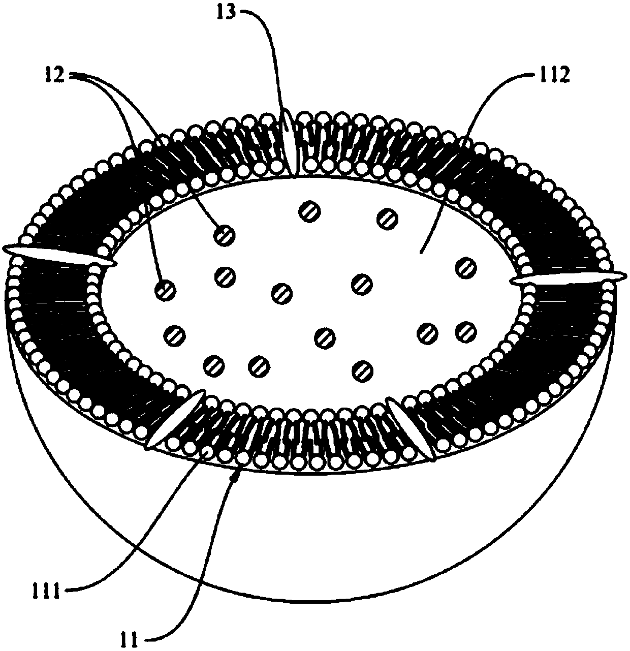 Microliposome composition