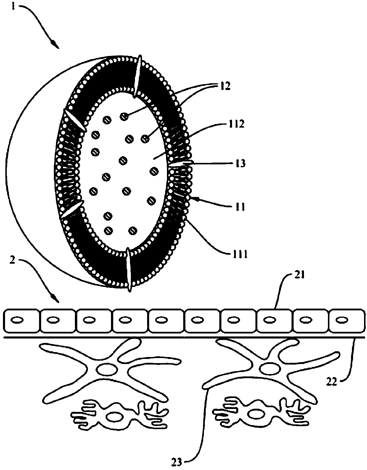 Microliposome composition