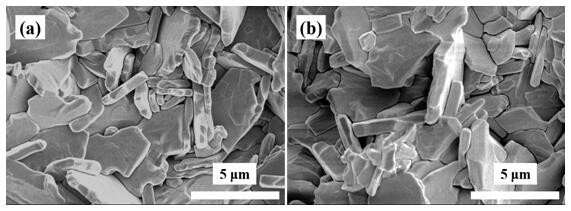 A kind of single-phase multiferroic ceramics with non-stoichiometric ratio of Olivieris structure and preparation method thereof