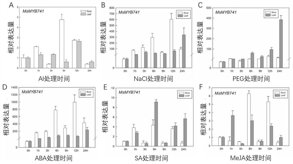 A kind of alfalfa myb transcription factor and its application of aluminum tolerance