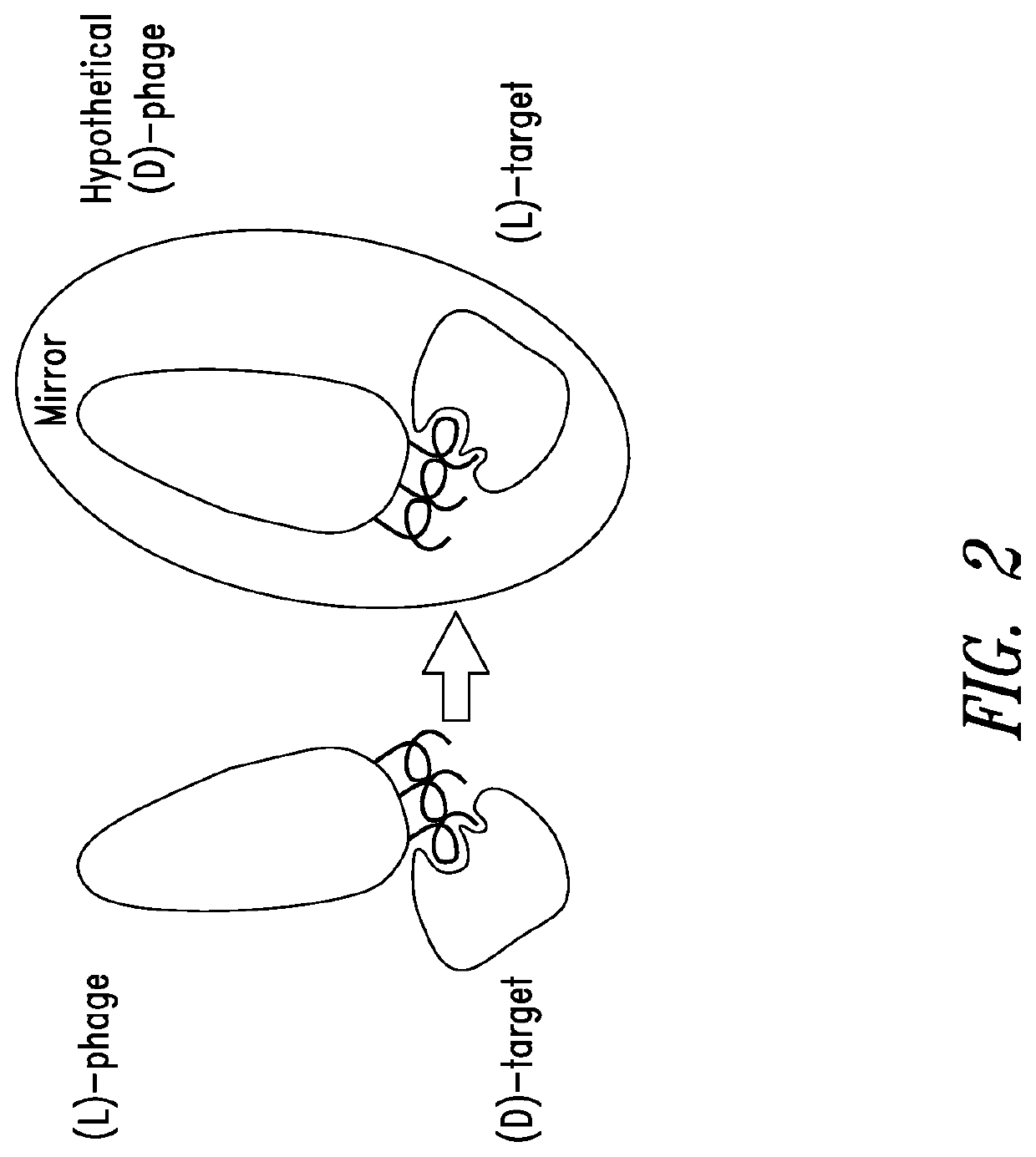 Compositions and methods related to inhibition of respiratory syncytial virus entry