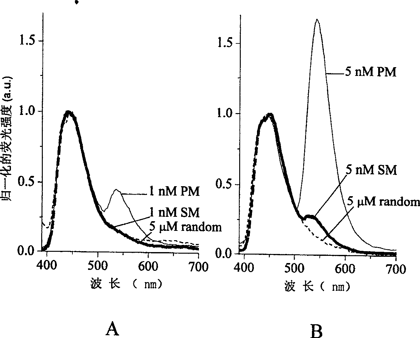 Fluorescence detection method for DNA and kit thereof