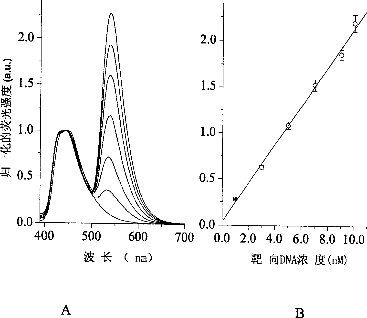 Fluorescence detection method for DNA and kit thereof