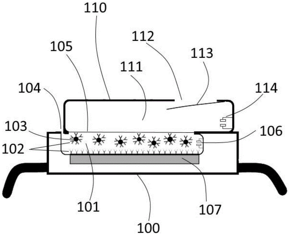 Liquid phase detection chip