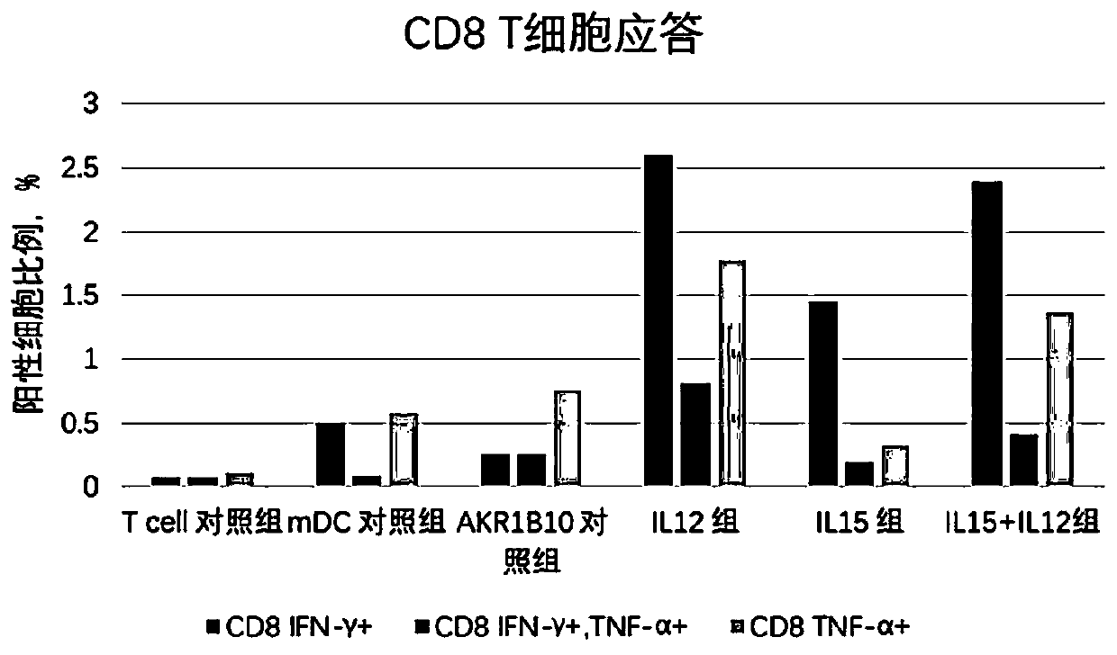 Engineered DC cells and methods for promoting TNF-alpha cytokine production by helper T cells