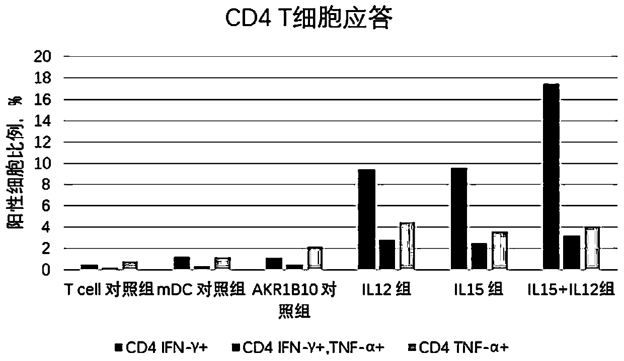 Engineered DC cells and methods for promoting TNF-alpha cytokine production by helper T cells