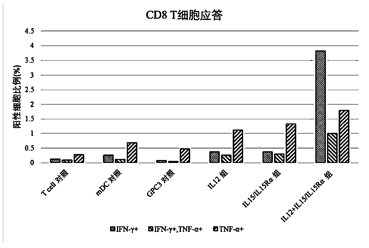 Engineered DC cells and methods for promoting TNF-alpha cytokine production by helper T cells