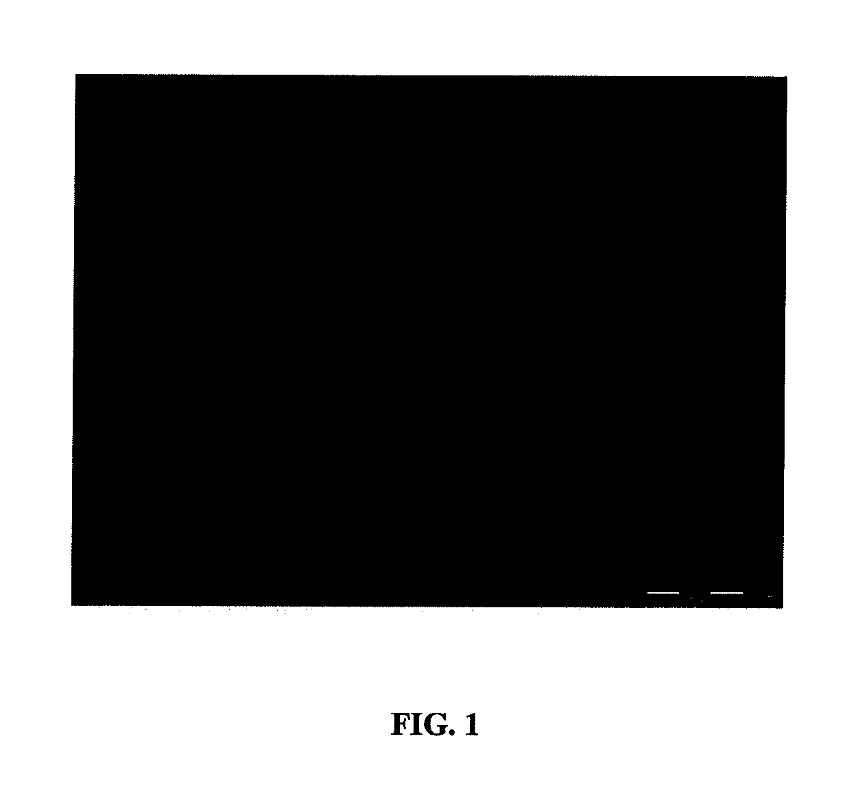 Methods for embryonic stem cell culture