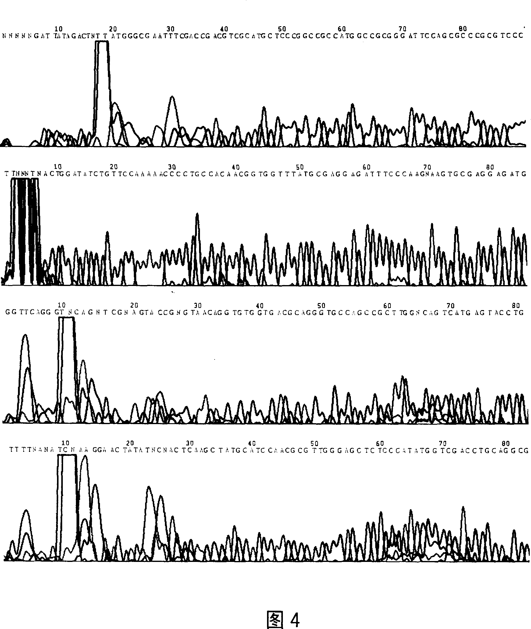 Functional peptide of milk agglutinin and method for preparing same